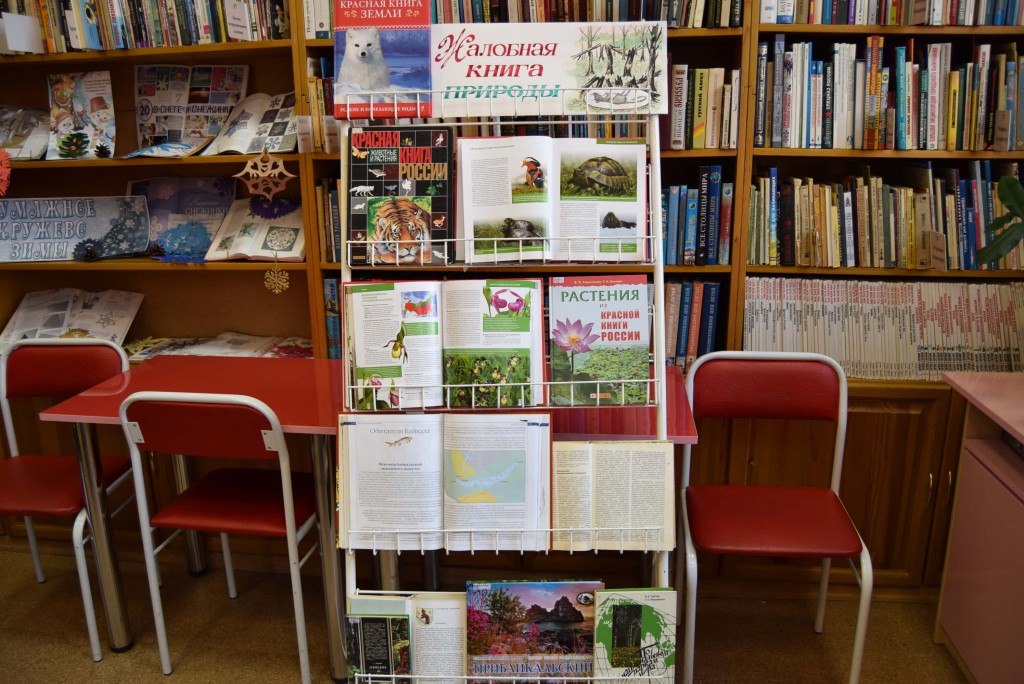 Выставка книги Год экологии Иркутская областная детская библиотека имени Марка Сергеева