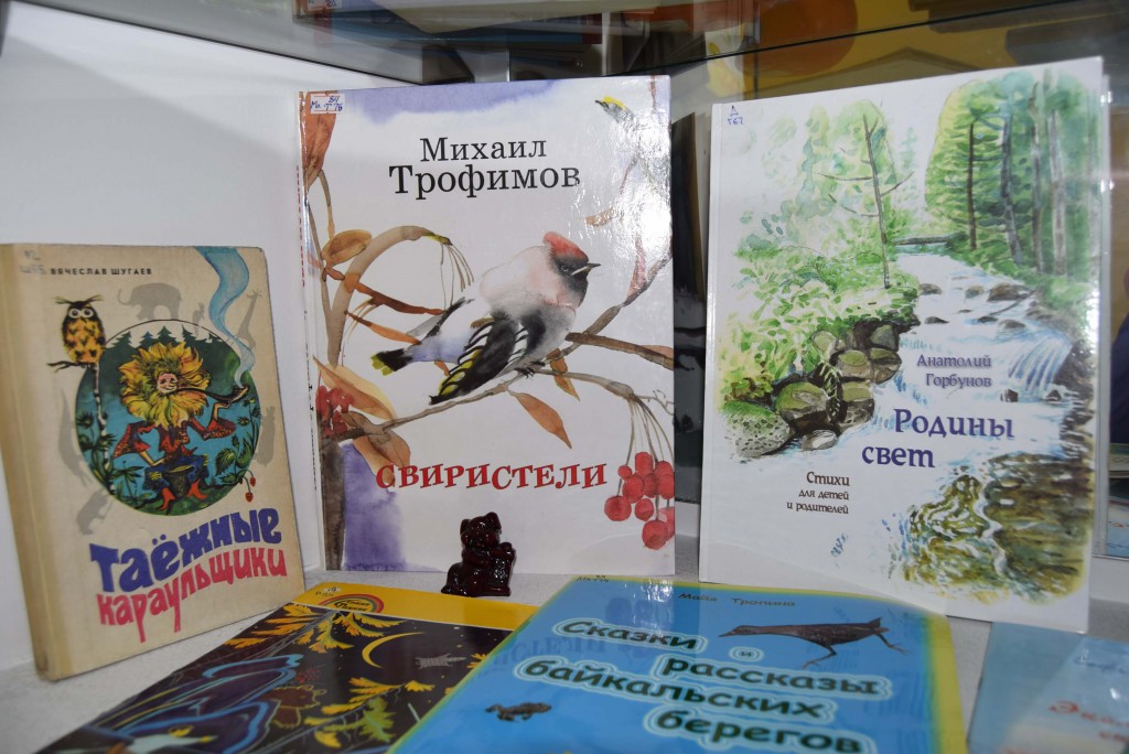 Выставка Книги Иркутская областная детская библиотека имени Марка Сергеева