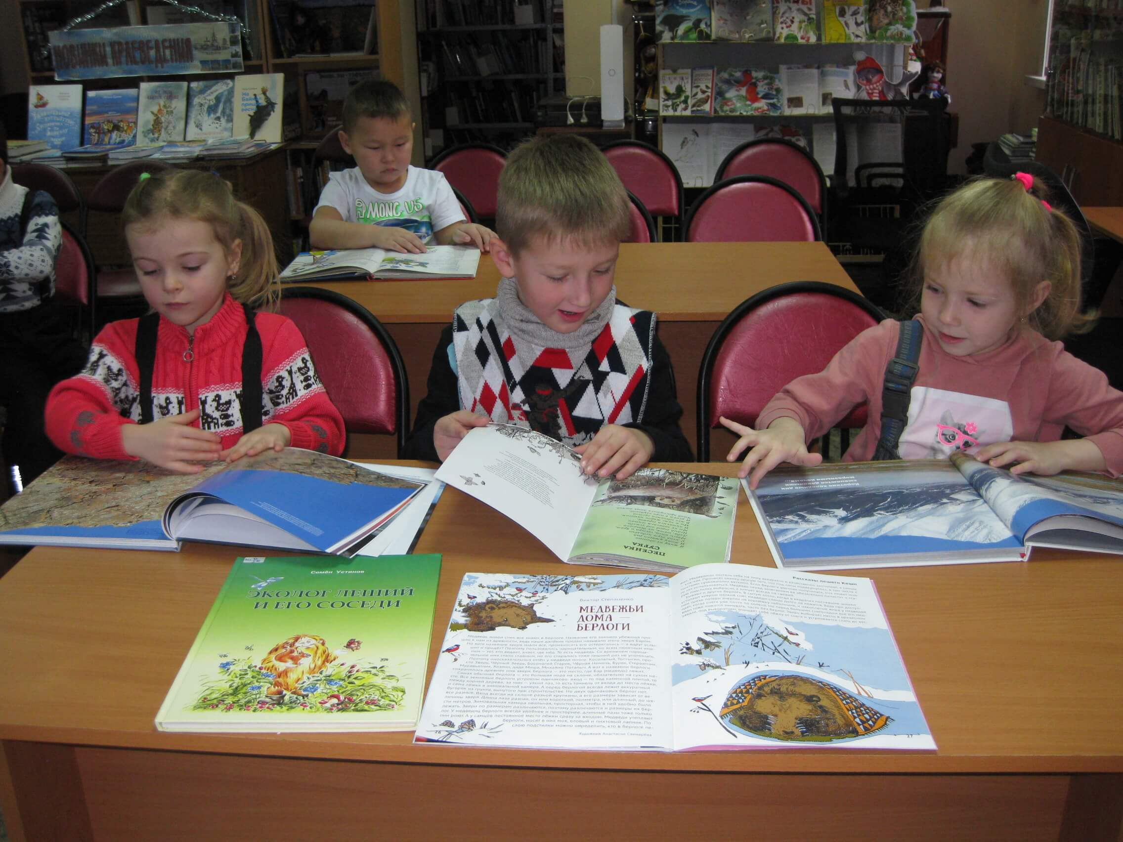 Литературная экология. Эколошический час в библиотеке "наше любимое мяукало". Картинки областной детской библиотеки марка Сергеева Иркутск.